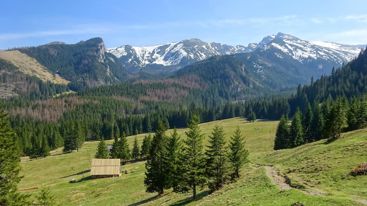 Polana kalatówki i widok na Tatry