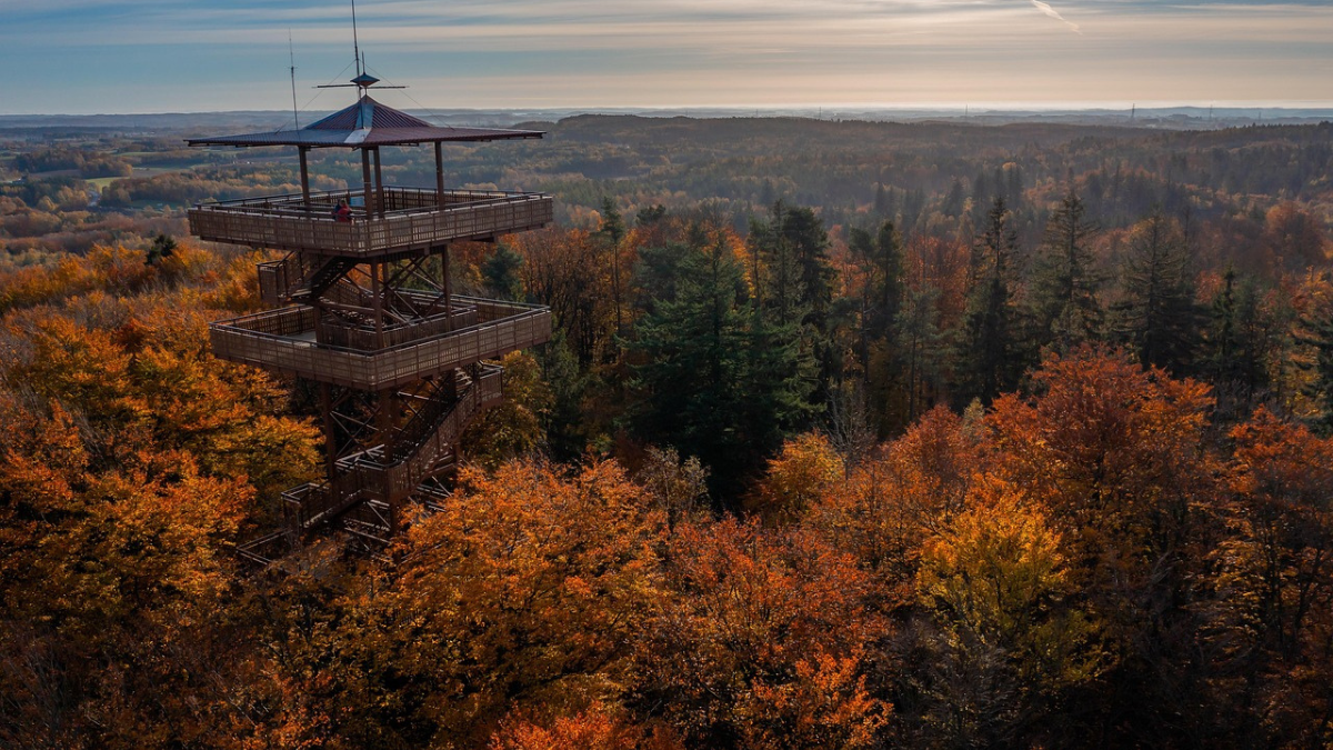 Widok na horyzont oraz Wieżycę i Kaszuby