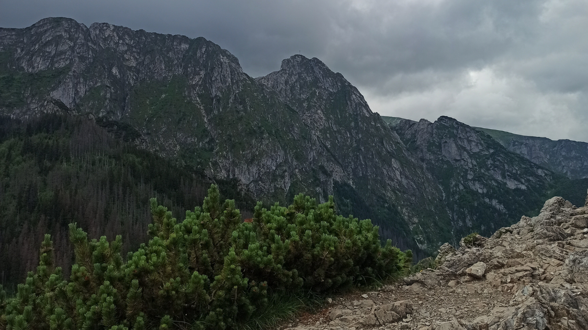 Sarnia Skała i widok na Giewont
