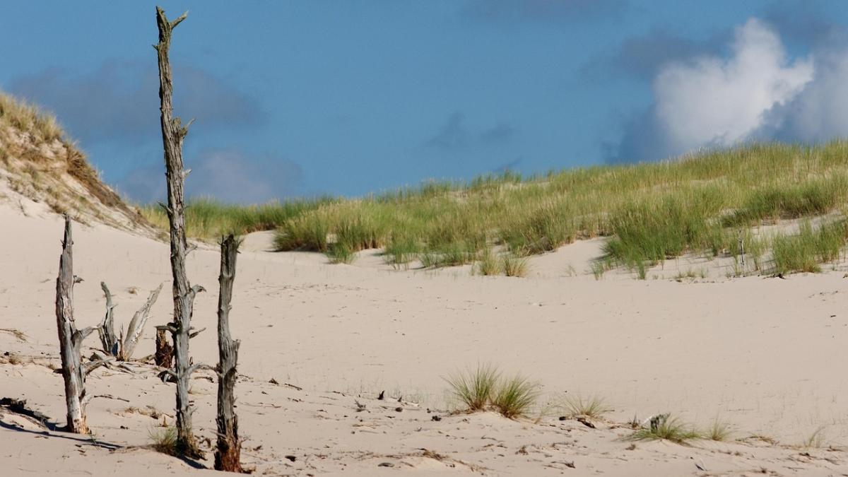 Ruchome Wydmy w Łebie