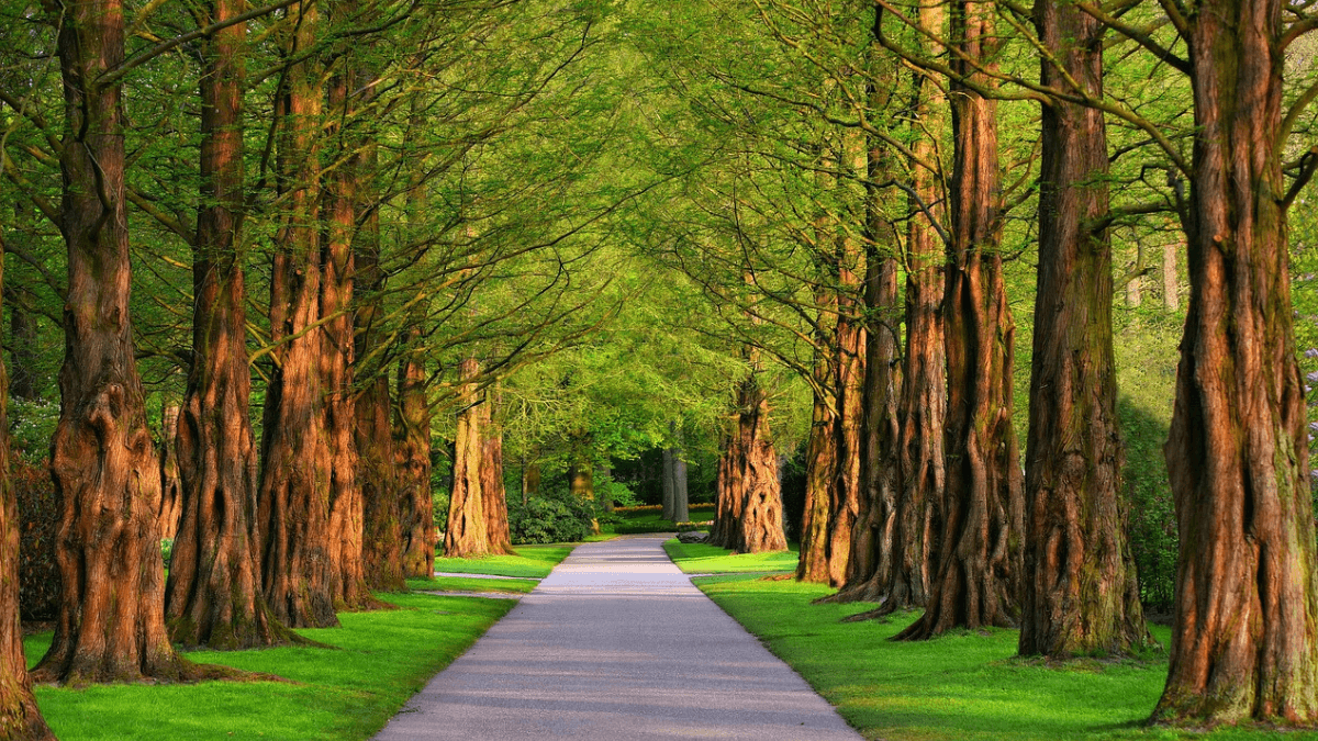 Darmowe atrakcje w Polsce, park wiosną