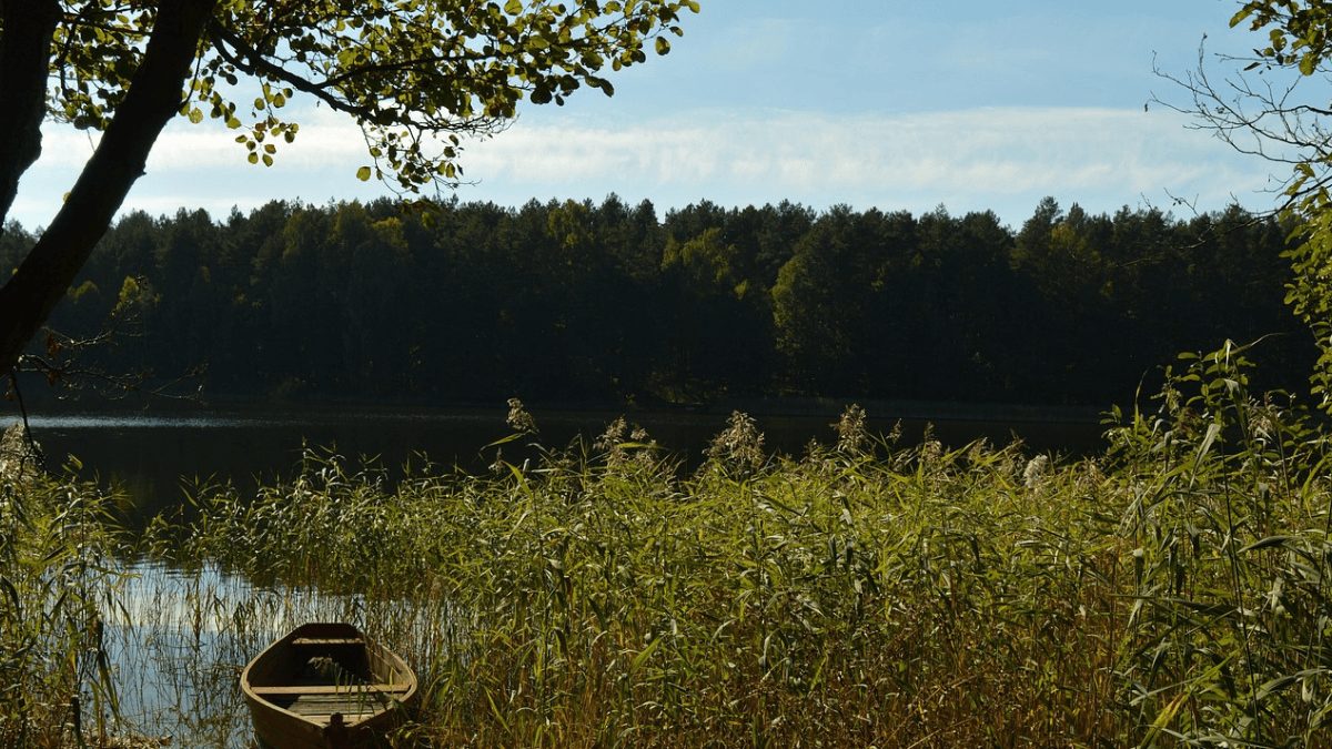 Warmia i Mazury widok na jezioro