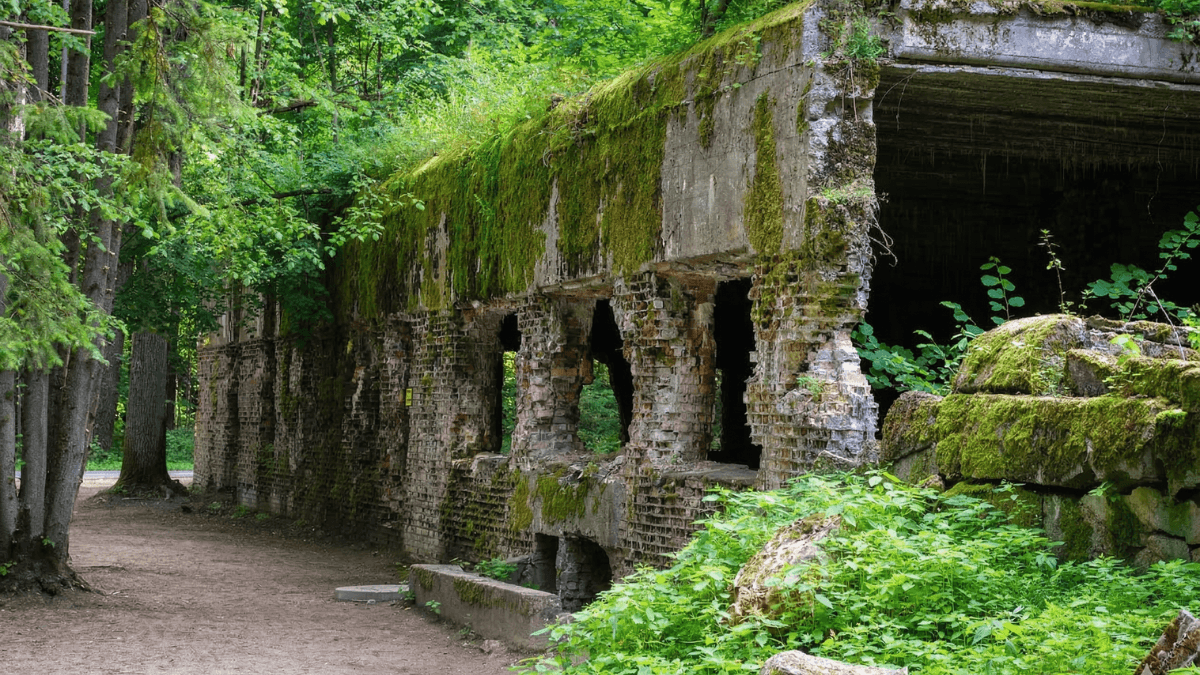 Wilczy Szaniec we Wsi Gierłoż obok Kętrzyna