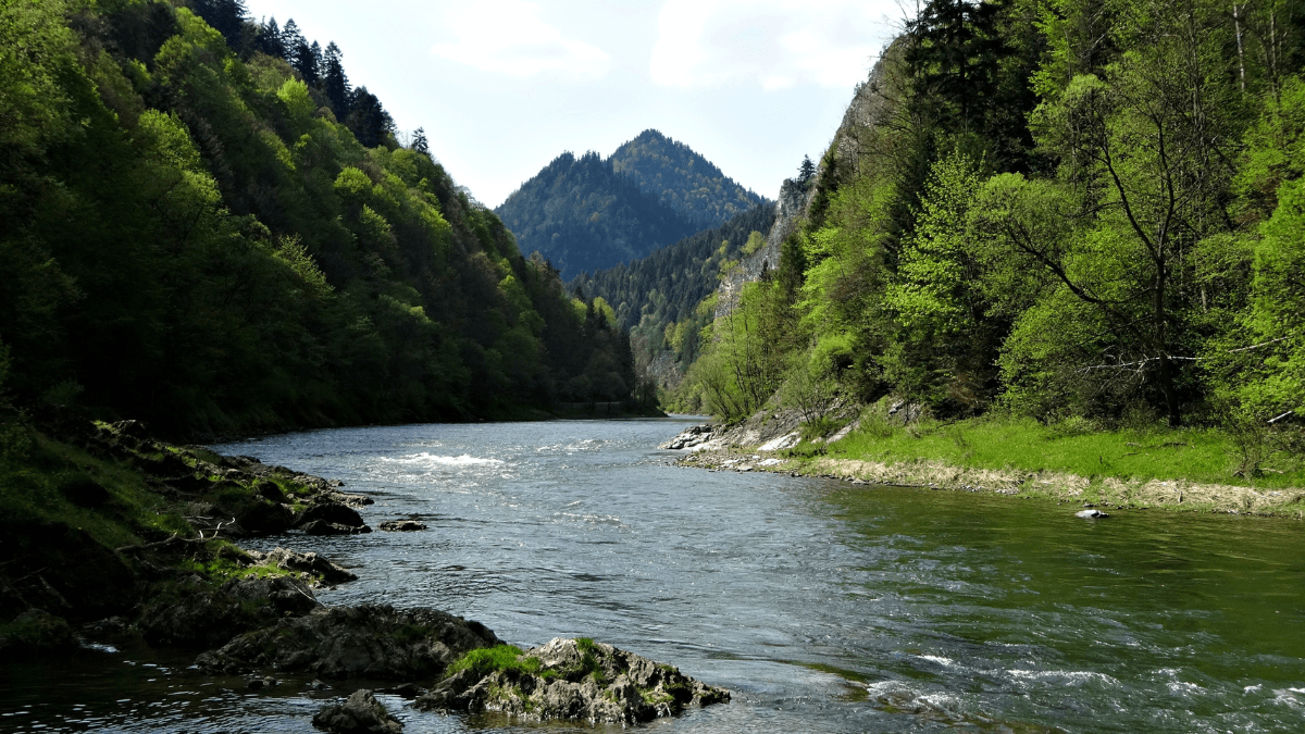 Widok na naturę w Pienińskim Parku Narodowym